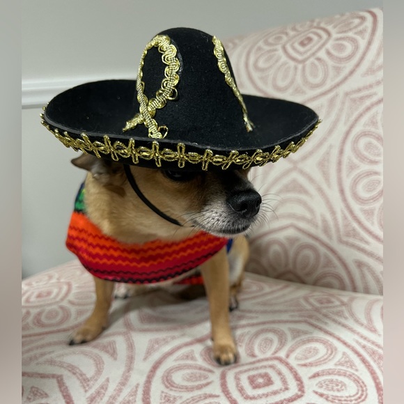 Halloween Costume with matching Sombrero. - Picture 4 of 13